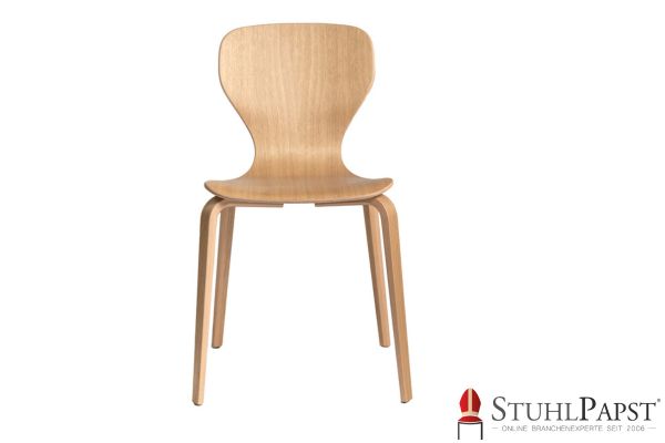 JUPITER mit besonderer Form Design Holzschalenstuhl Holzstuhl Polster Holz Schalenstuhl Holzstuhl Sonderform Holzschalenstuhl individuell Stuhl mit