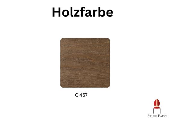 Farbkarte Holzfarbe C457
