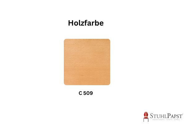 Farbkarte Holzfarbe C509
